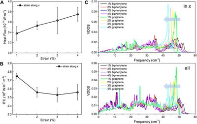 Tunable thermal properties of the biphenylene and the lateral heterostructure formed with graphene: A molecular dynamics investigation